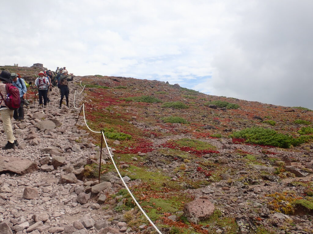 ウラシマツツジやクロマメノキが紅葉した黒岳南西斜面を黒岳石室へ向かいます。