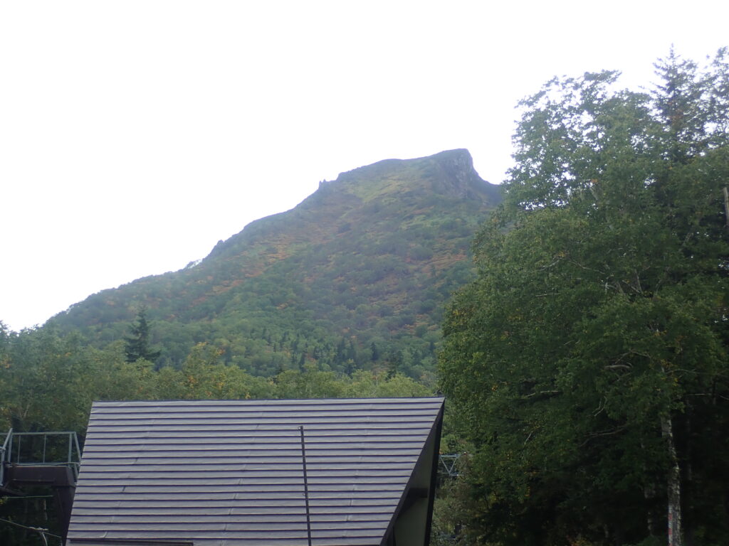 今日の黒岳の全景です。紅葉しています。
