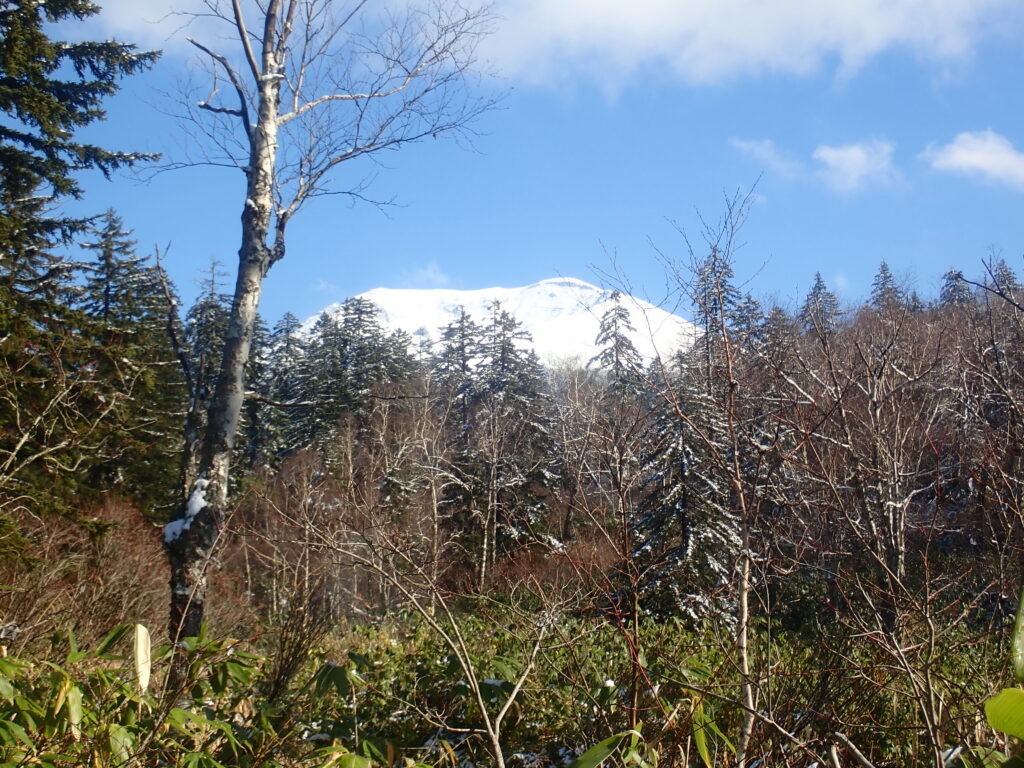 雪を被った旭岳が見えます。