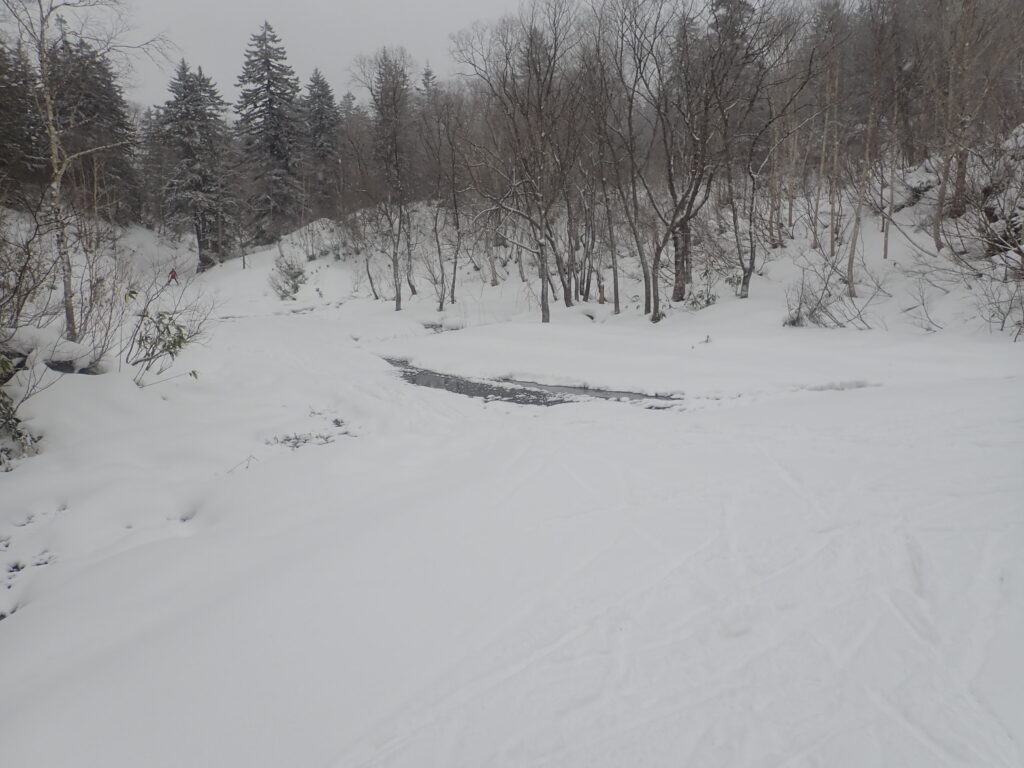 コースに入ってすぐ雪が解けて土が出ていました.