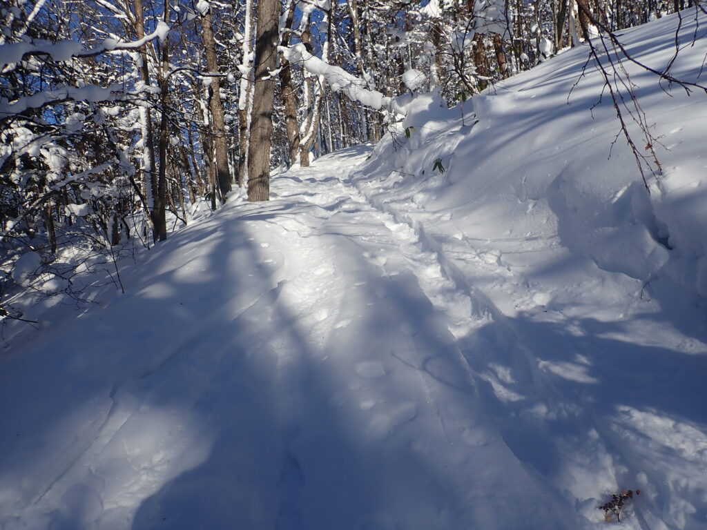 雪が少ないので藪の入らず遊歩道沿いに滑り降ります。