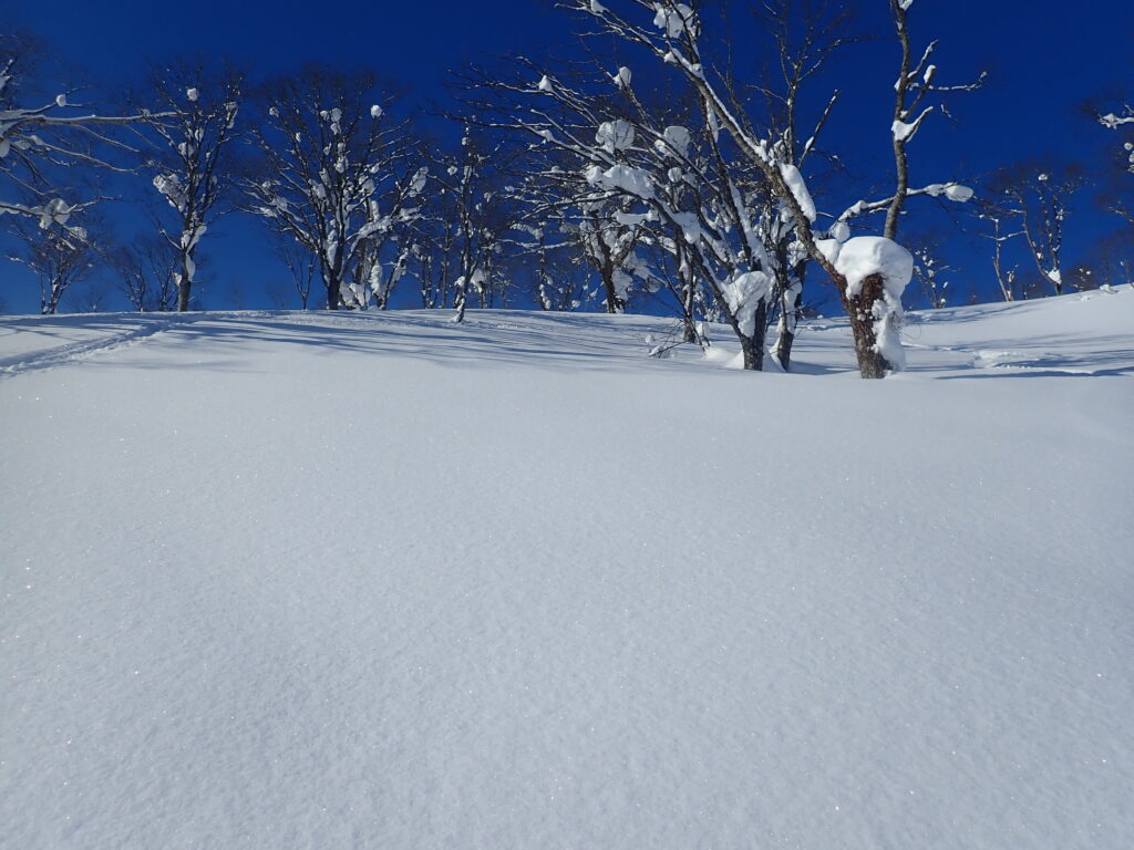 青空と白い雪のコントラストが美しい。