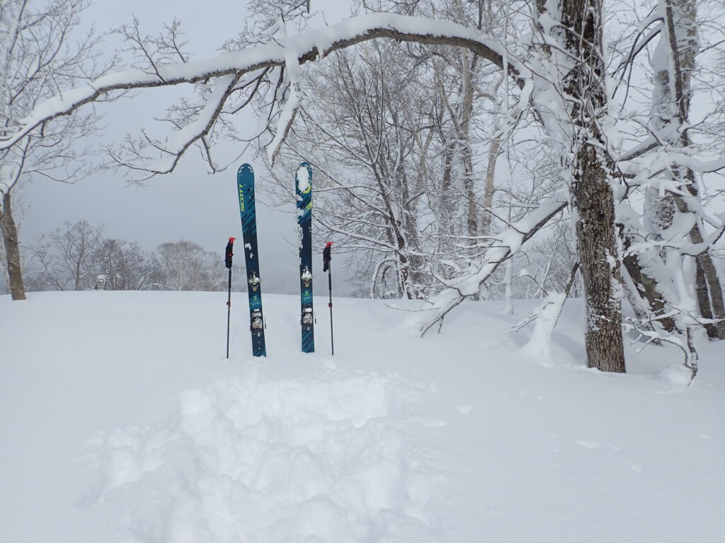 目標となるものがありませんのでスキーを立ててみました。