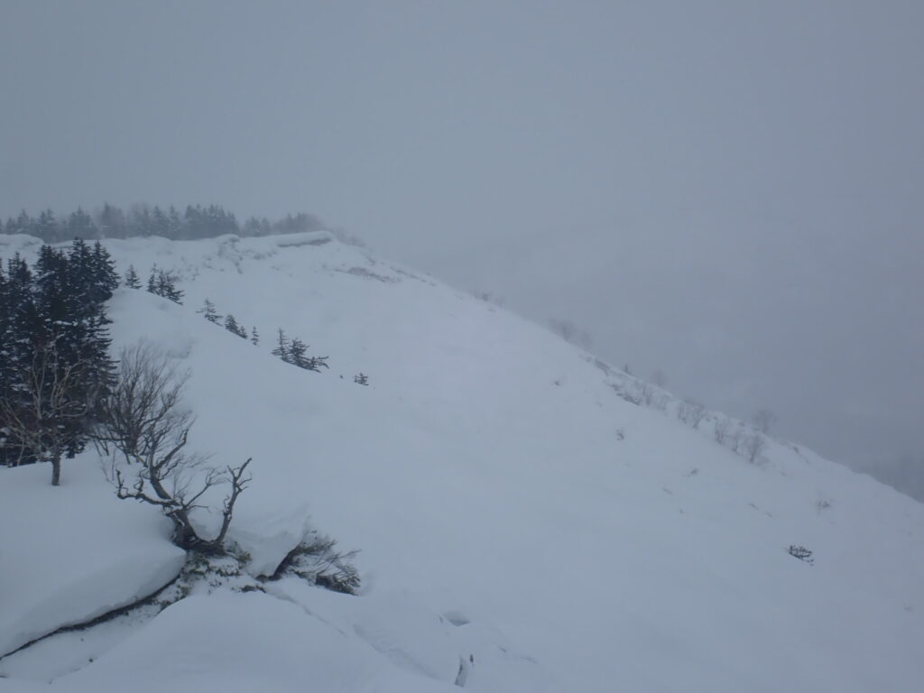 滑走予定でしたが稜線では大きなクラックがあり斜面には確認できませんがおそらく今日の新雪に隠れたクラックがあるものと判断し斜面を変更しました。