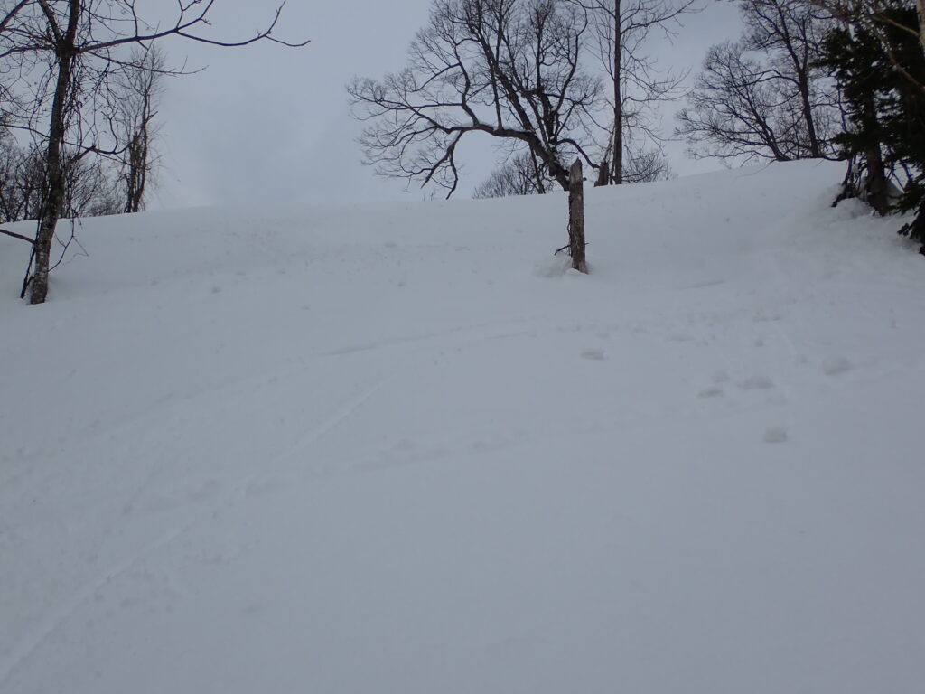 天で写真はうまく写らないようです。

雪は湿った硬めの雪で10cmほどスキーが埋まり滑りにくい雪です。