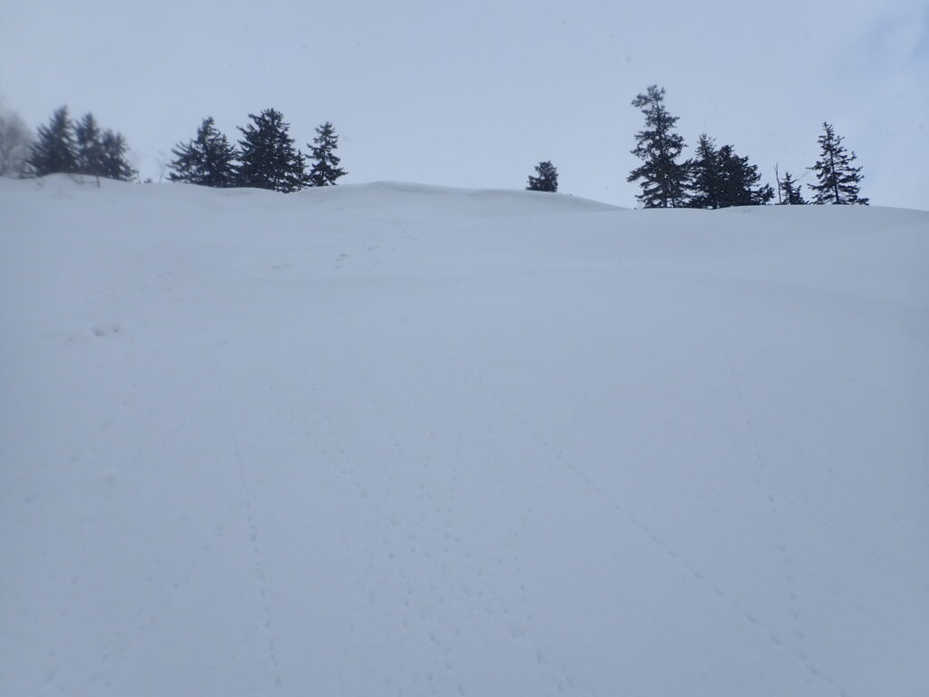 雪も安定しクラックも見られないので沢方向へ滑り降りました。