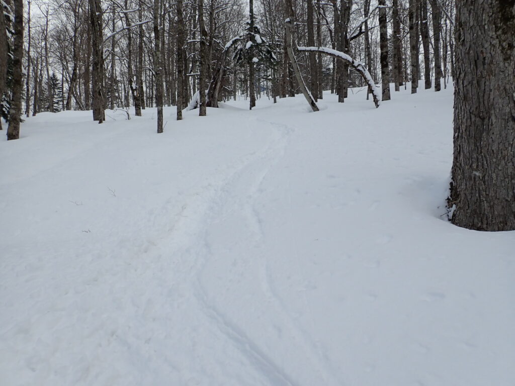 山頂は雪が締まってやや滑りにくかったのですが、少し下がると快適な滑走となりました。