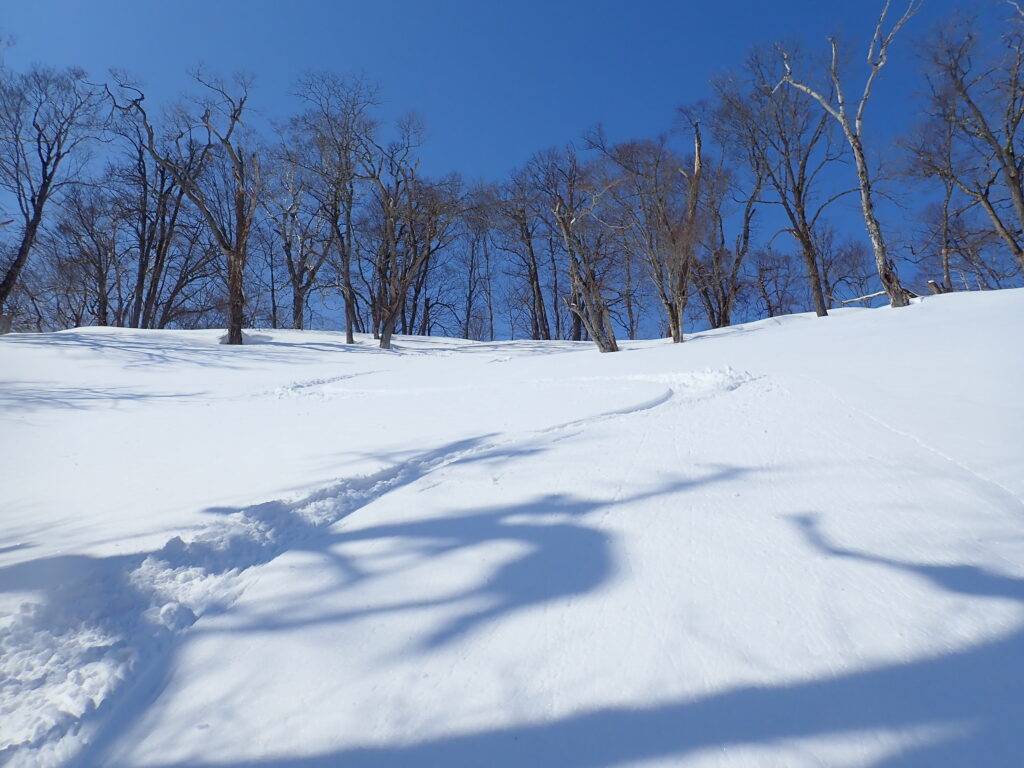青空と雪面のシュプール