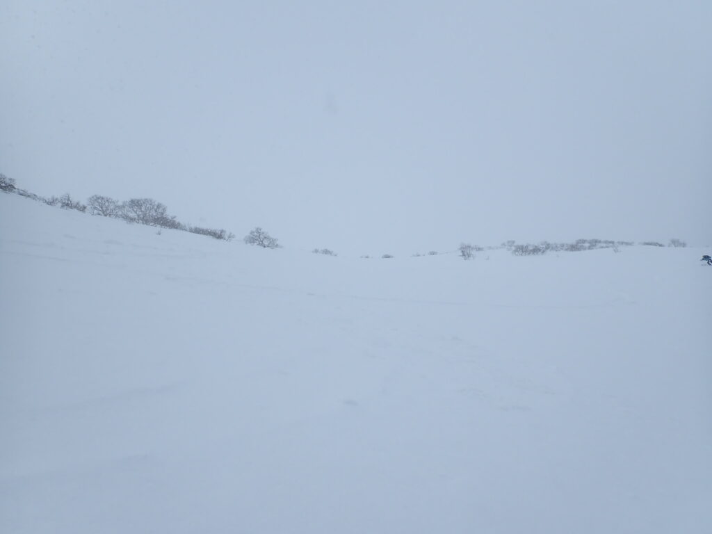 山頂から滑走しました。曇っているため雪面がハッキリ写りません。

雪質は上部が湿った重めの雪でその下はパウダーです。

足が疲れる雪質で油断すると転倒しそうです。