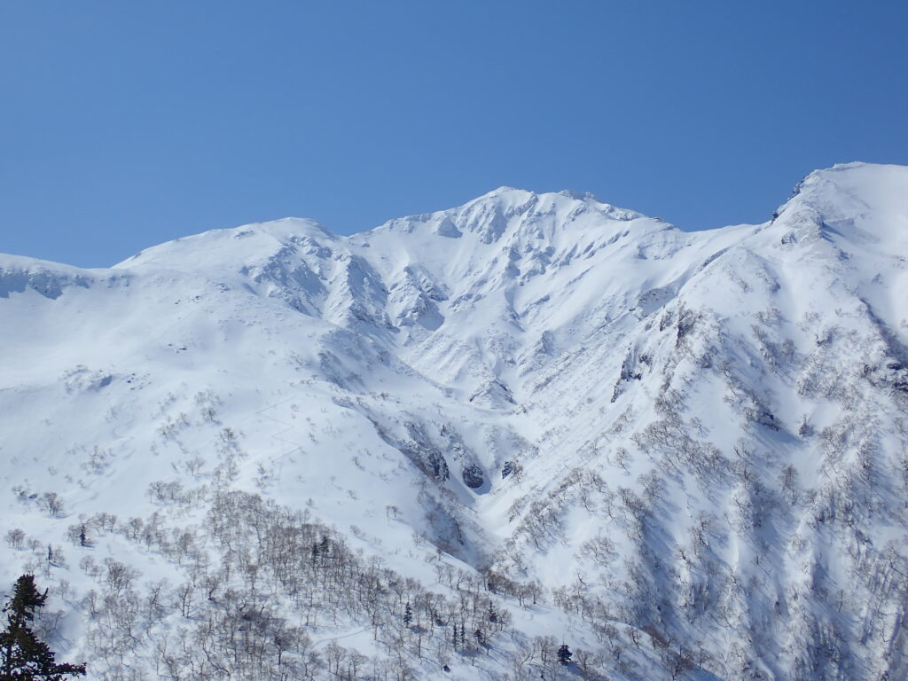 富良野岳も雄大に見えます。

写真の中央の沢地形は三峰沢と言われ沢登に行われる沢です。

その三峰沢左尾根(右岸尾根)にジグを切って登っていくトレースが見えます。