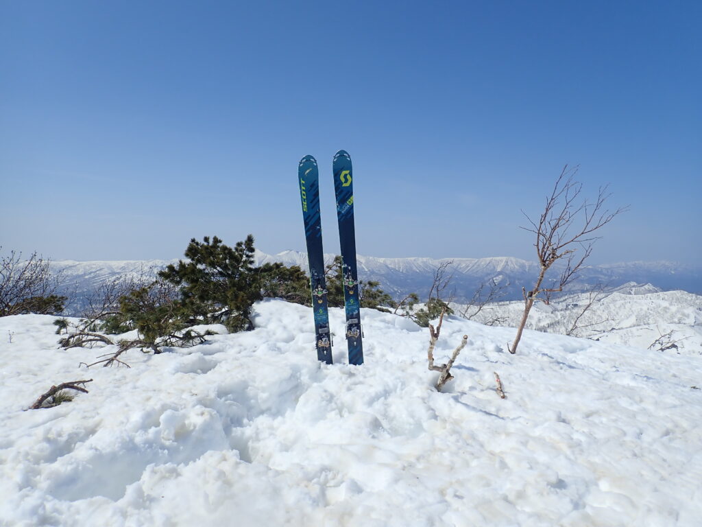山頂到着

右の枝のようなダケカンバに小さい標識がありますしたが、目立つものがないのでスキーを立ててみました。

気温が高いせいか、スキーを外すと股まで埋まります。