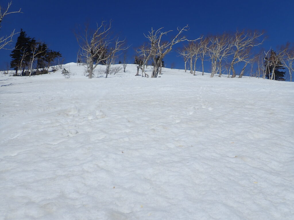 斜面はよいのですがスキーの滑りがあまりよくありません。