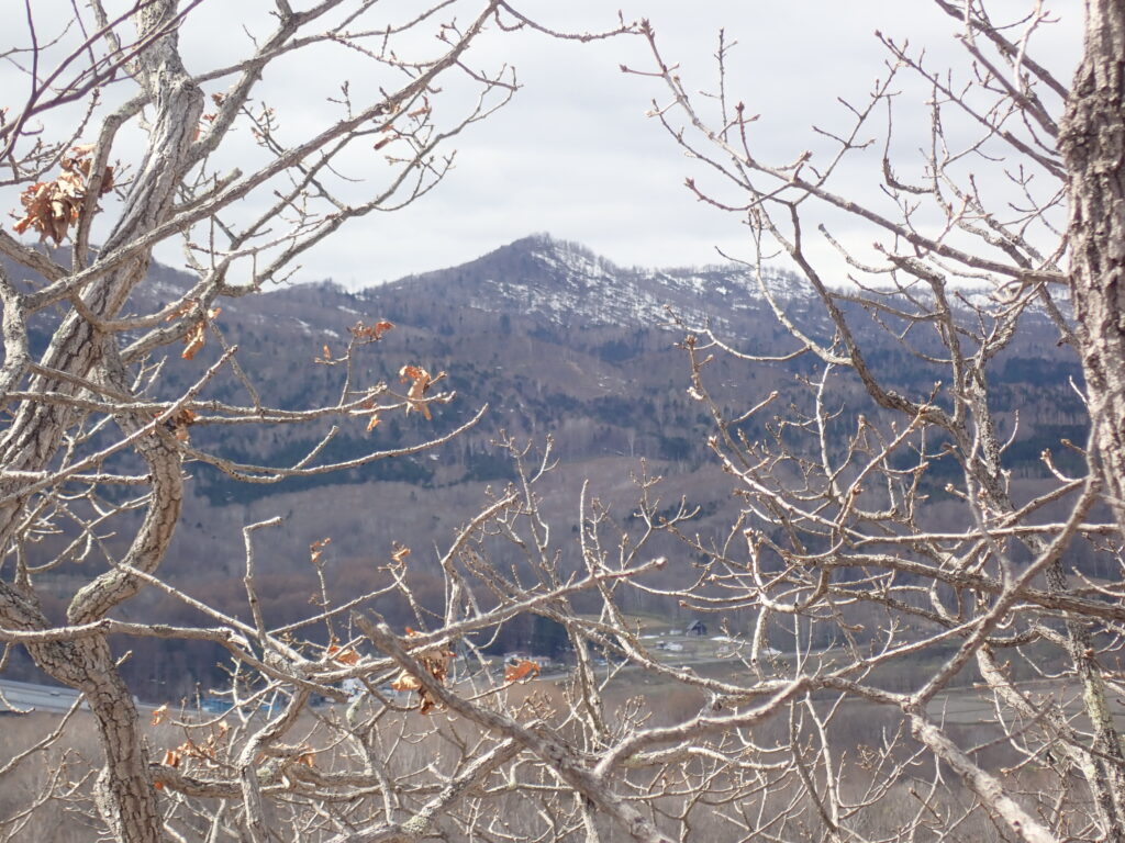 木々の間から「湯内山」が見えます。

パウダースキーを楽しませてくれる山です。

ずいぶん残雪が少なくなりました。