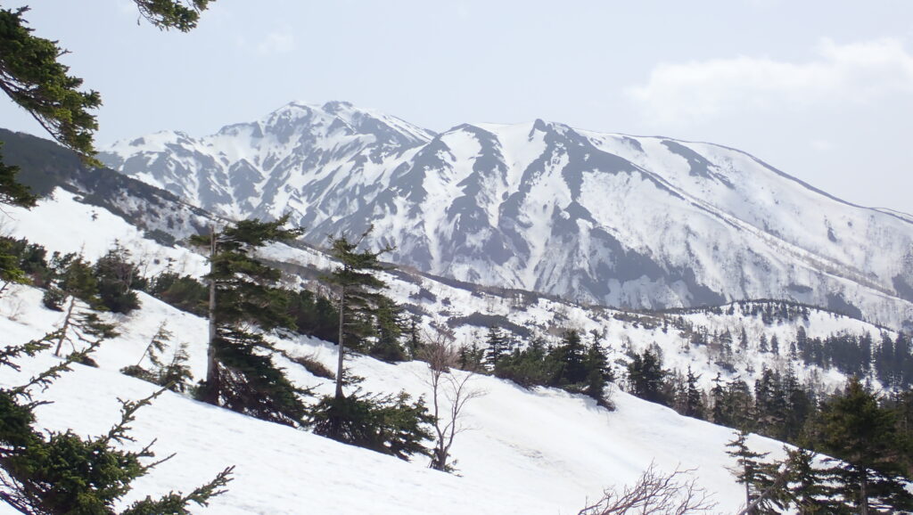 富良野岳の右の大きなジャイアント尾根には雪はまだあるようです。