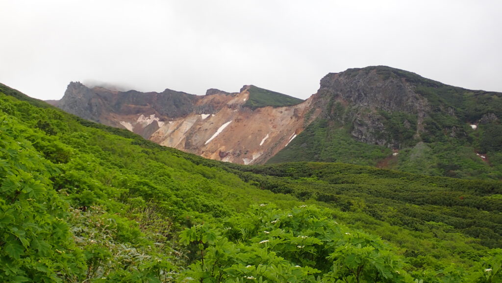 向かい側の上富良野岳に至る尾根です。

手前「化物岩」

左「八つ手岩」