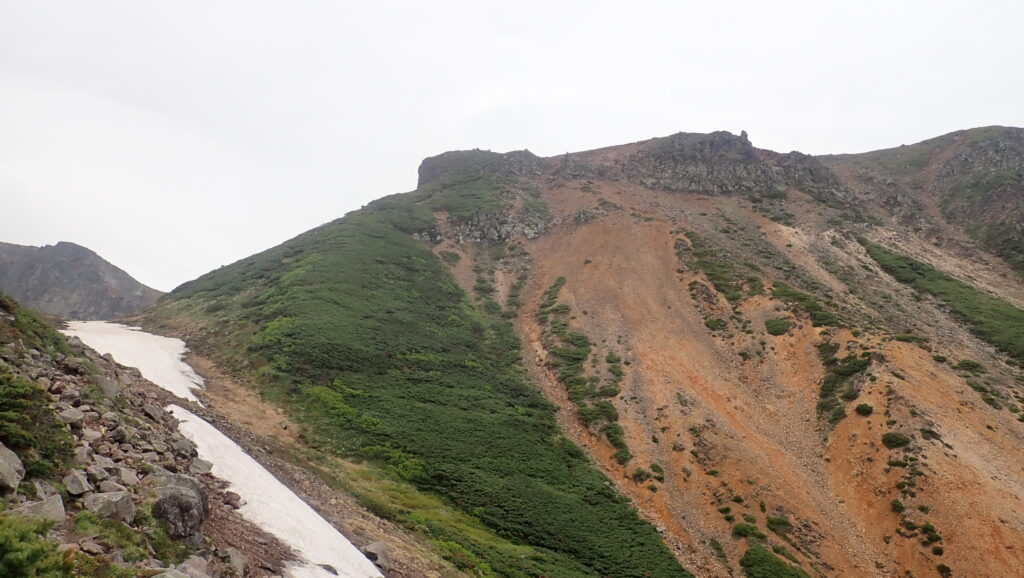 上富良野岳頂上直下のコルにはまだ雪渓が残っているようです。