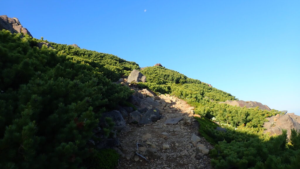 青空に向かって登ります。