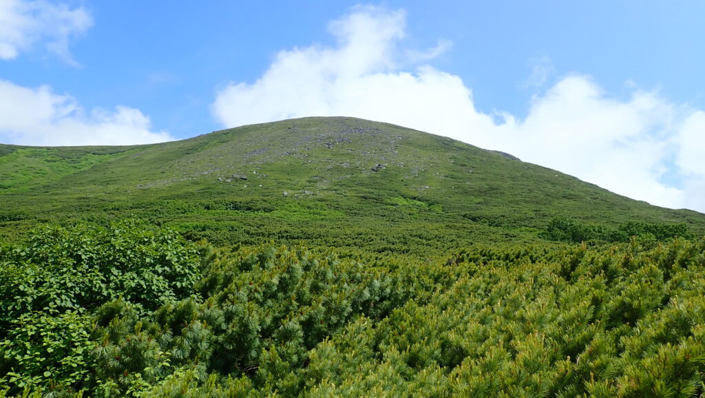 これから緑岳の岩場の登りに入ります。