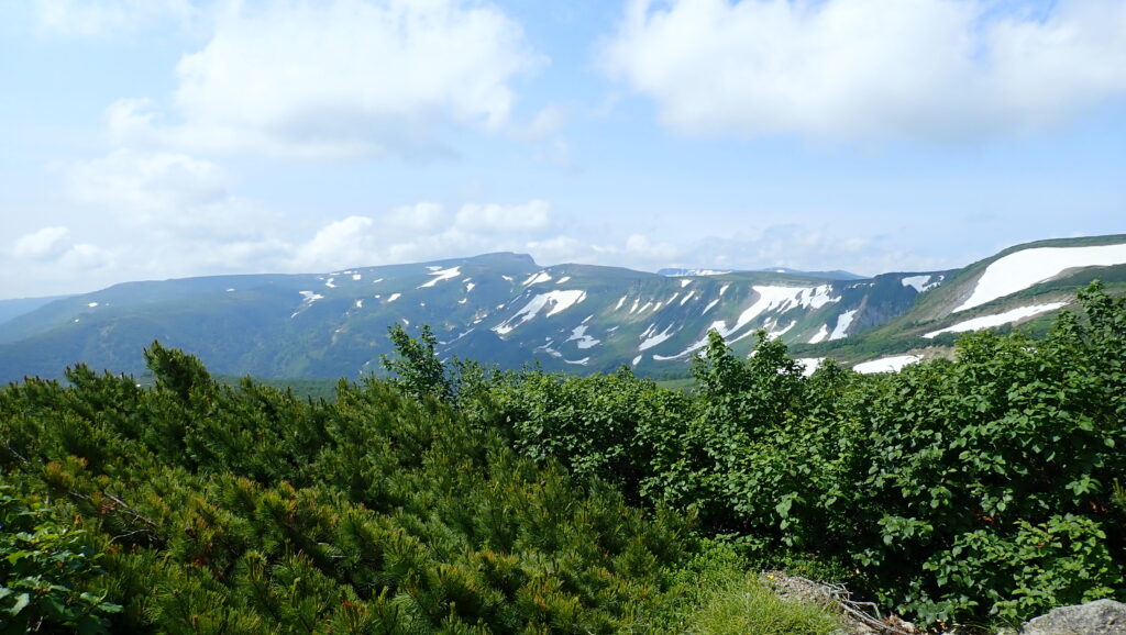 「高根が原」も良く見えています。

稜線の奥、右が崖になっているところは「忠別岳」