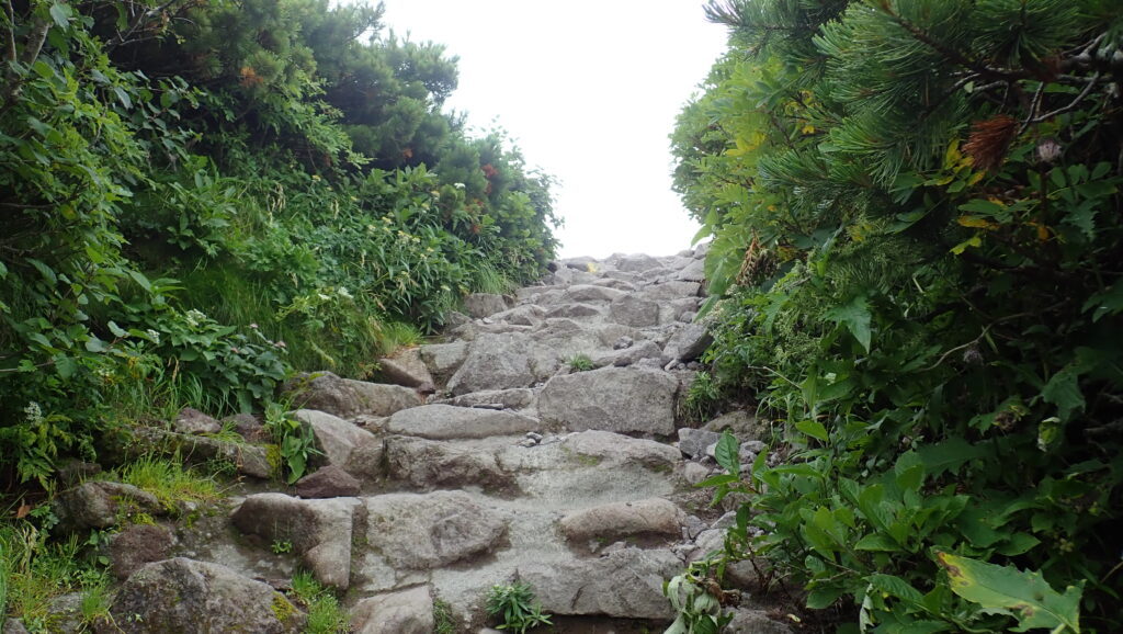 山頂への最後詰め。石段の先の空間が山頂です。