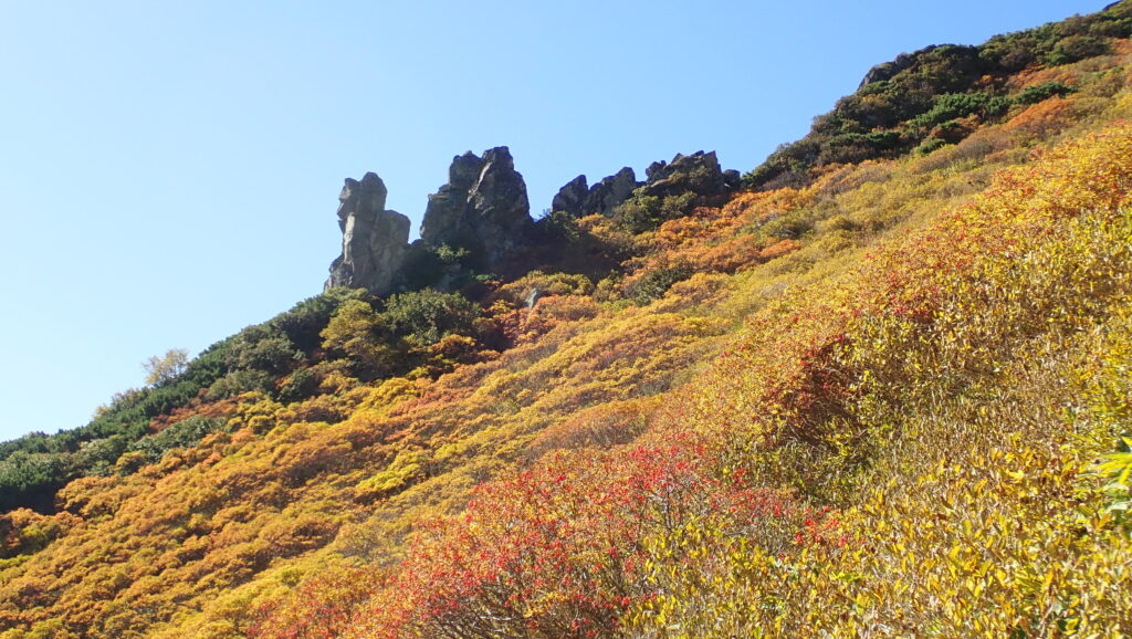 「まねき岩」付近の紅葉はピークを迎えています