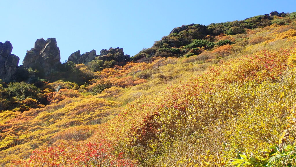 まねき岩上部の紅葉