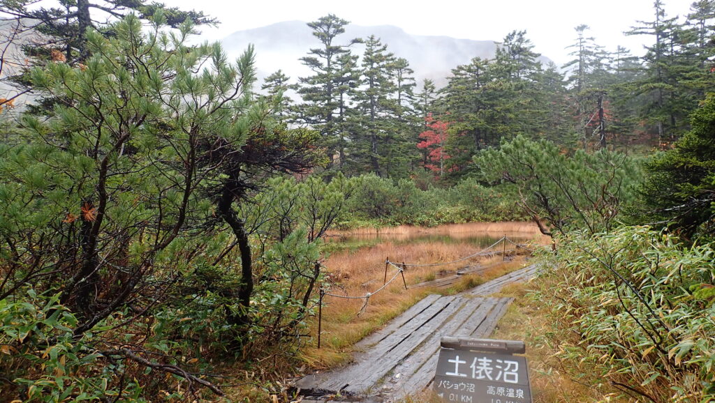 最初の沼「土俵沼」です。