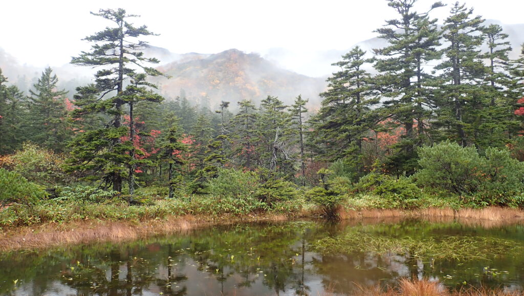 土俵沼から薄っすらと高根が原が見えます。