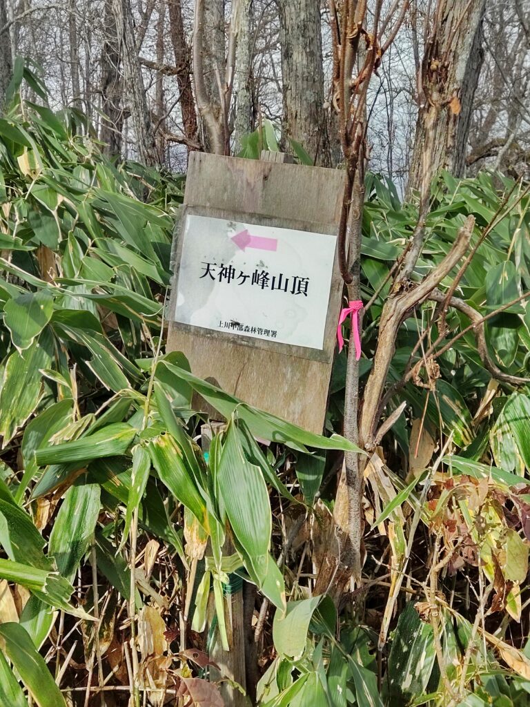 登山道の標識に従い矢印方向の急登を登ると間もなく「天神ガ峰」です。

周囲の見通しは良くありません。