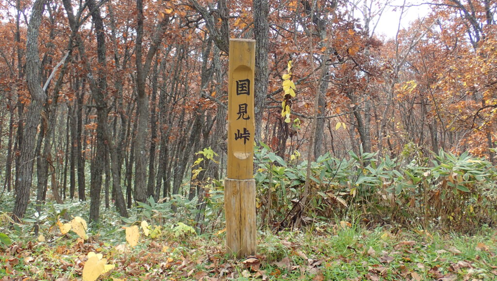 登山道と車道が交差する「国見峠」。天神ガ峰まで4.8kmのようです。